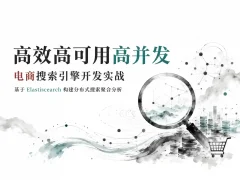 高效高可用高并发-电商搜索引擎开发实战  基于Elasticsearch构建分布式搜索聚合分析