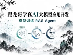 跟龙哥学真AI大模型应用开发模型训练RAG-Agent-AI项目实战行业落地课