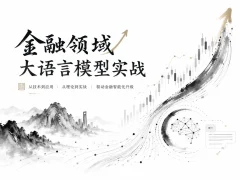 金融领域大语言模型实战
