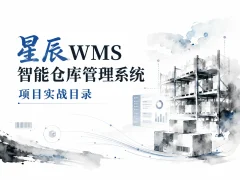 星辰wms智能仓库管理系统项目实战