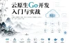 云原生Go开发入门与实战