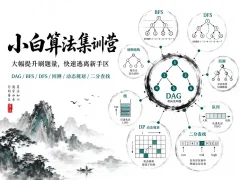 小白算法集训营